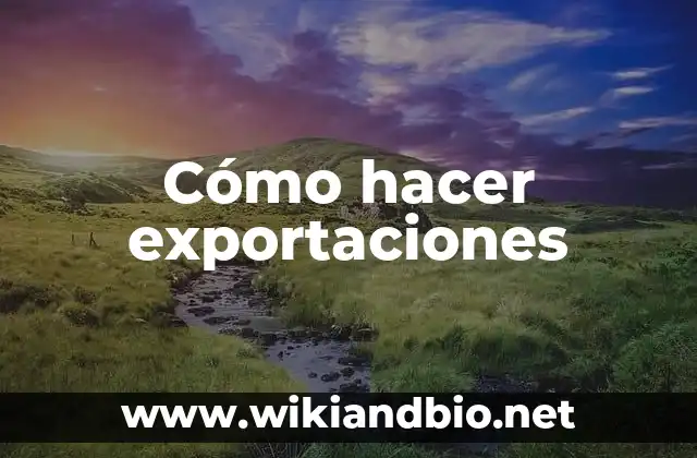 Cómo hacer exportaciones