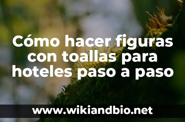 Cómo hacer figuras con toallas para hoteles paso a paso
