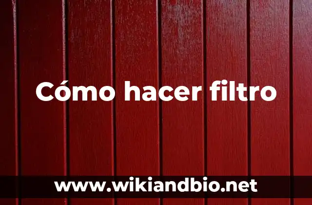 Cómo hacer filtro