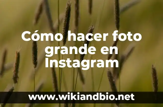 Cómo hacer foto grande en Instagram
