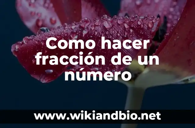 Como hacer fracción de un número