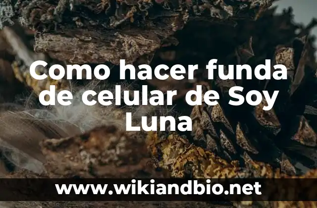 ¿Qué es una funda de celular de Soy Luna?
