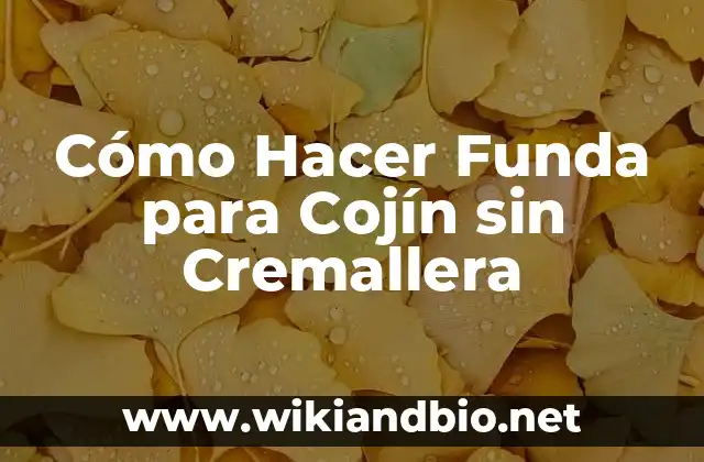 Cómo Hacer Funda para Cojín sin Cremallera