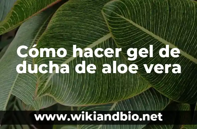 Cómo hacer gel de ducha de aloe vera