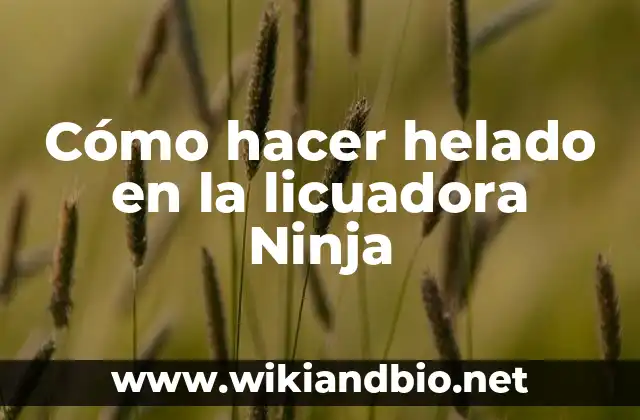 Cómo hacer helado en la licuadora Ninja