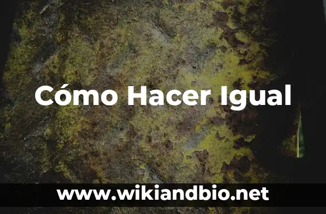 Cómo Hacer Igual