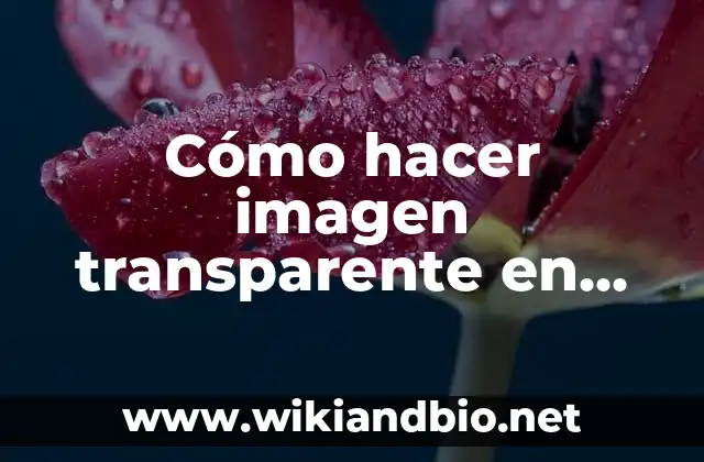Cómo hacer imagen transparente en Word