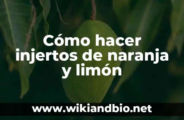 Cómo hacer injertos de naranja y limón