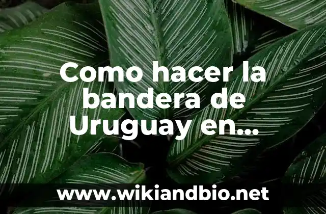 La bandera de Uruguay en Minecraft