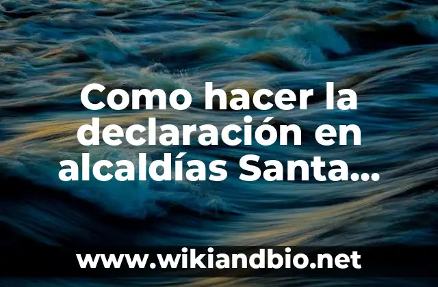 Como hacer la declaración en alcaldías Santa Tecla