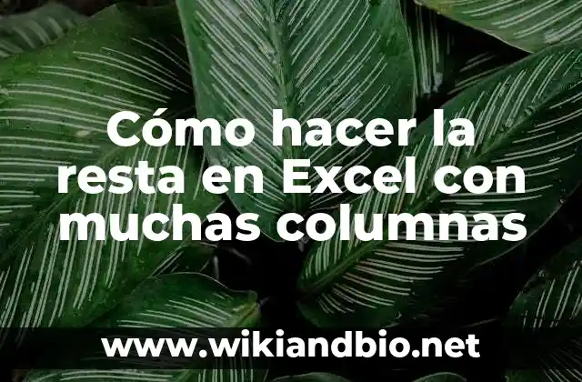 Cómo hacer la resta en Excel con muchas columnas