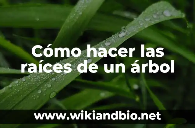 Cómo hacer las raíces de un árbol