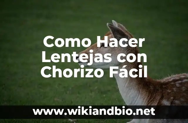 Como Hacer Lentejas con Chorizo Fácil