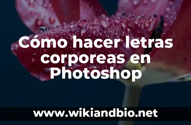 Cómo hacer letras corporeas en Photoshop