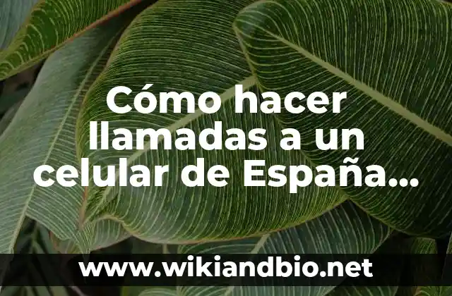 Cómo hacer llamadas a un celular de España desde Bolivia