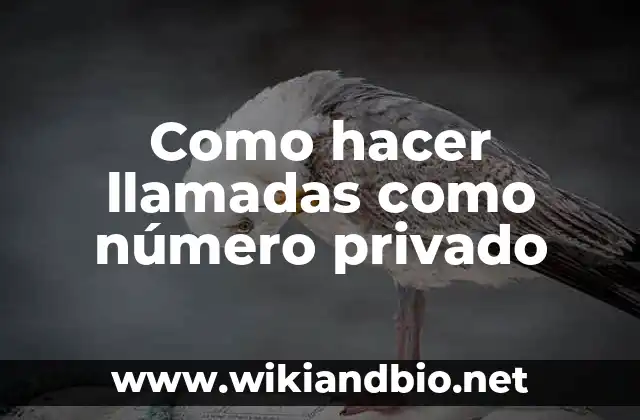 ¿Qué es hacer llamadas como número privado y para qué sirve?