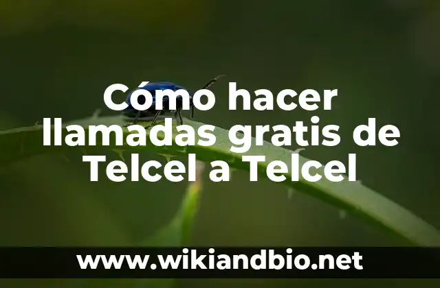 Cómo hacer llamadas gratis de Telcel a Telcel