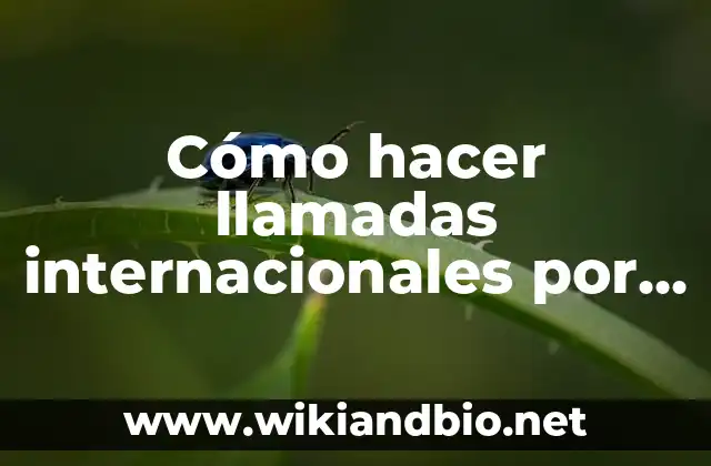 Cómo hacer llamadas internacionales por WhatsApp