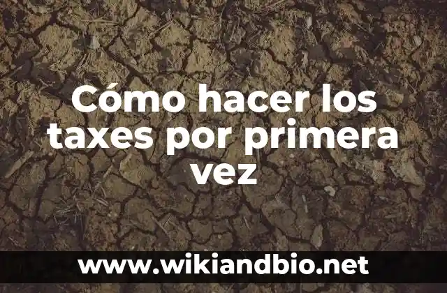 Cómo hacer los taxes por primera vez