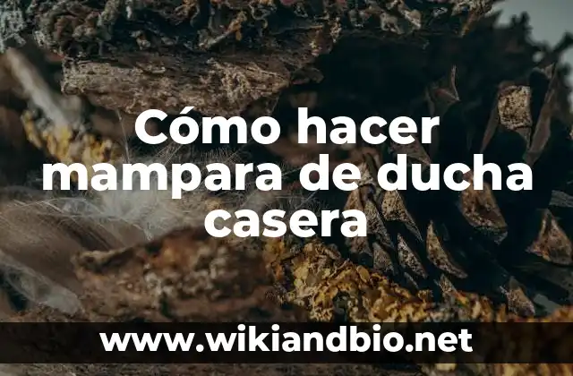Cómo hacer mampara de ducha casera