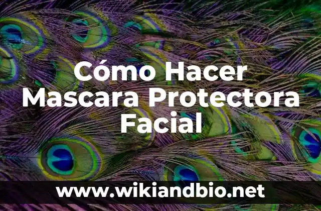 Cómo Hacer Mascara Protectora Facial