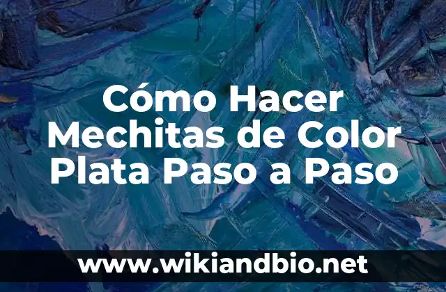 Cómo Hacer Mechitas de Color Plata Paso a Paso