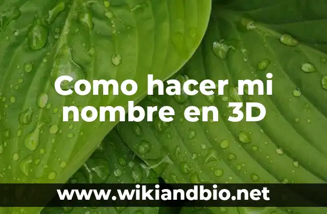 Como hacer mi nombre en 3D