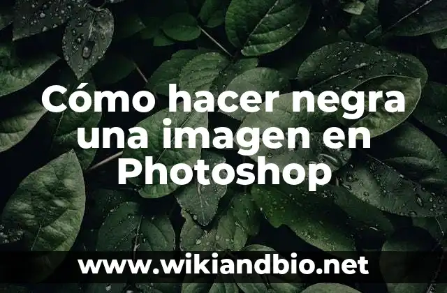 Cómo hacer negra una imagen en Photoshop