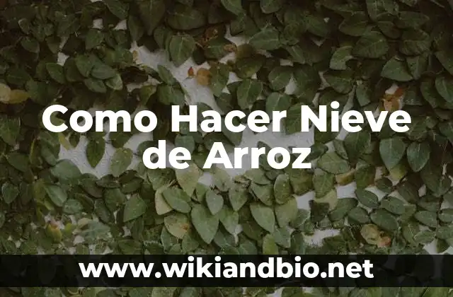 Como Hacer Nieve de Arroz