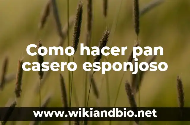 Como hacer pan casero esponjoso