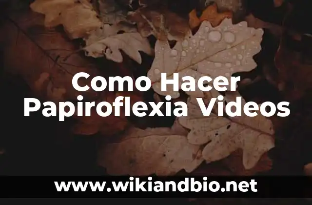 Como Hacer Papiroflexia Videos
