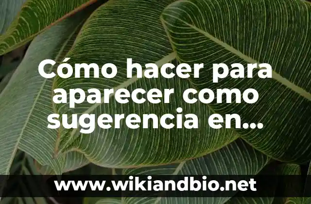 Cómo hacer para aparecer como sugerencia en Instagram