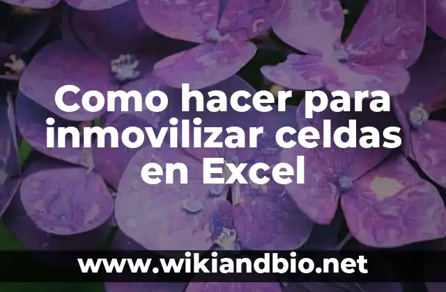 Como hacer para inmovilizar celdas en Excel