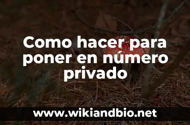 Como hacer para poner en número privado