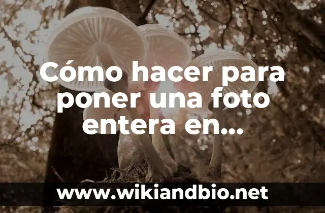 Cómo hacer para poner una foto entera en Instagram