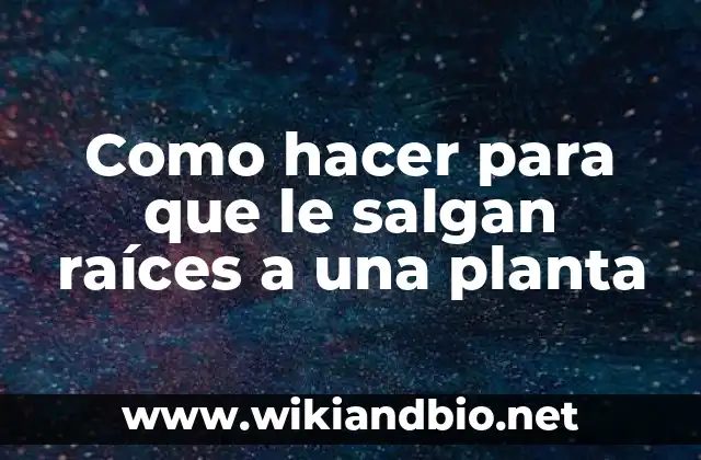 Como hacer para que le salgan raíces a una planta
