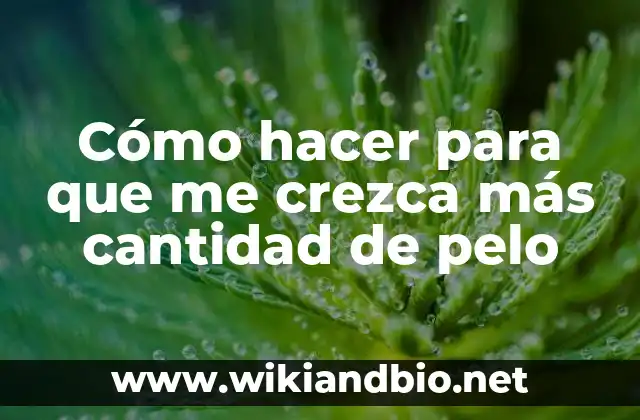 Cómo hacer para que me crezca más cantidad de pelo