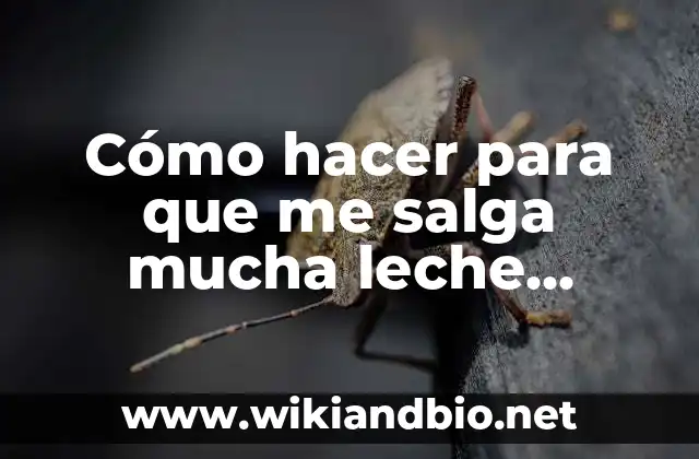 Cómo hacer para que me salga mucha leche materna