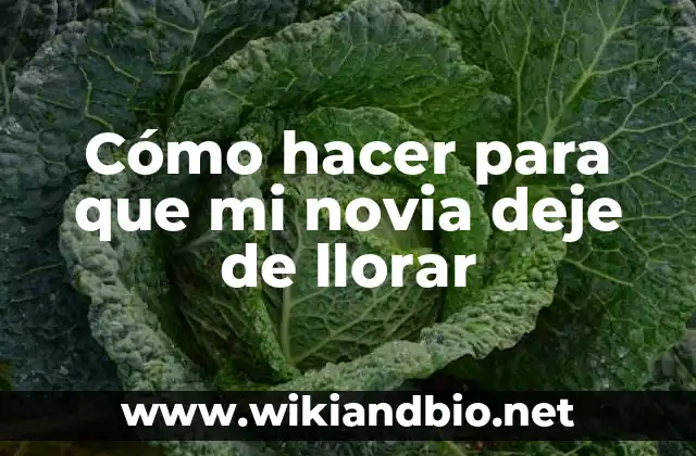 Cómo hacer para que mi novia deje de llorar