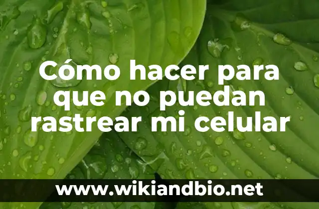 Cómo hacer para que no puedan rastrear mi celular
