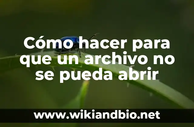 Cómo hacer para que un archivo no se pueda abrir