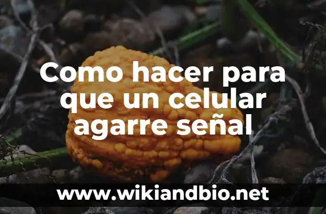 Como hacer para que un celular agarre señal