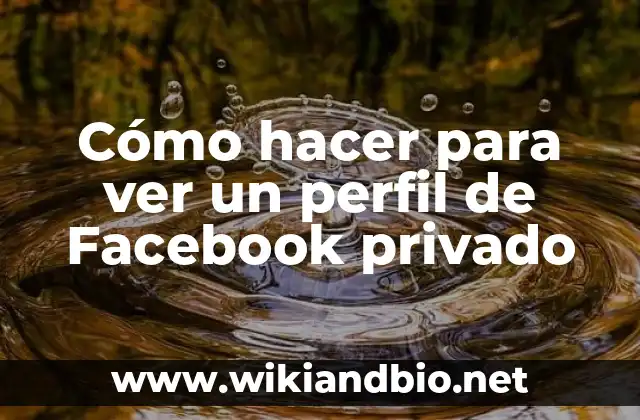 Cómo hacer para ver un perfil de Facebook privado