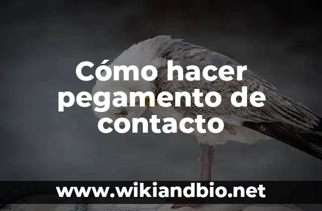 Cómo hacer pegamento de contacto