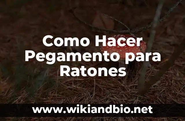 Como Hacer Pegamento para Ratones