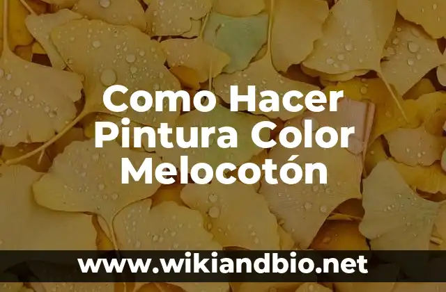 ¿Qué es la Pintura Color Melocotón?