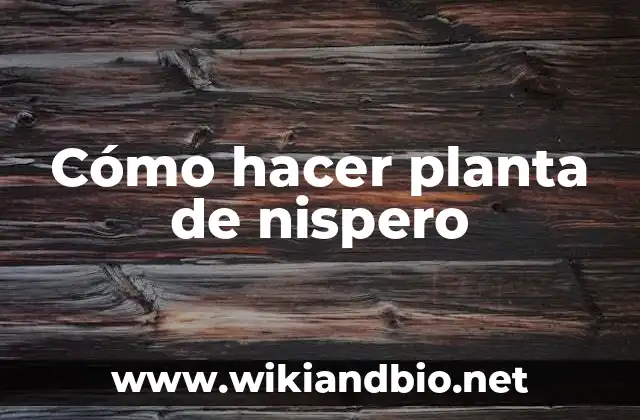 Cómo hacer planta de nispero