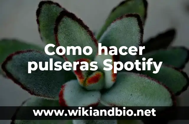 Como hacer pulseras Spotify