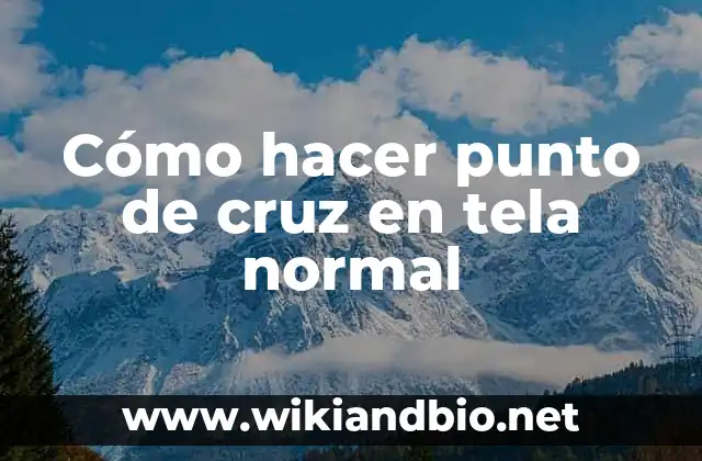 ¿Qué es el punto de cruz en tela normal?