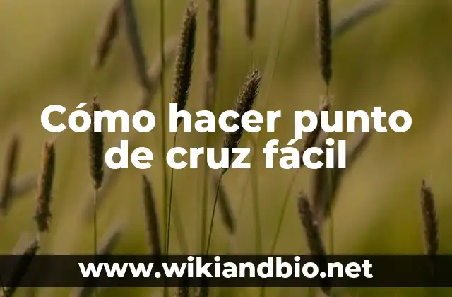 Cómo hacer punto de cruz fácil